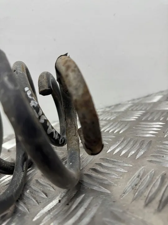 Skoda Roomster (5J) 2008 Molla posteriore image 5