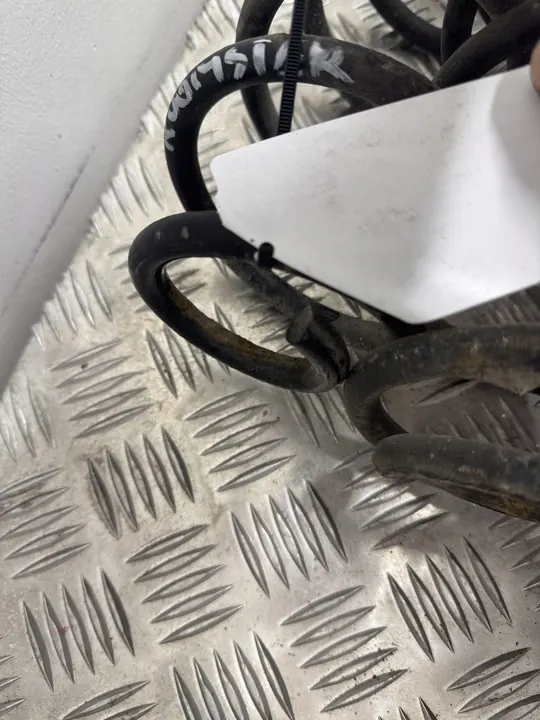 Skoda Roomster (5J) 2008 Molla posteriore image 6