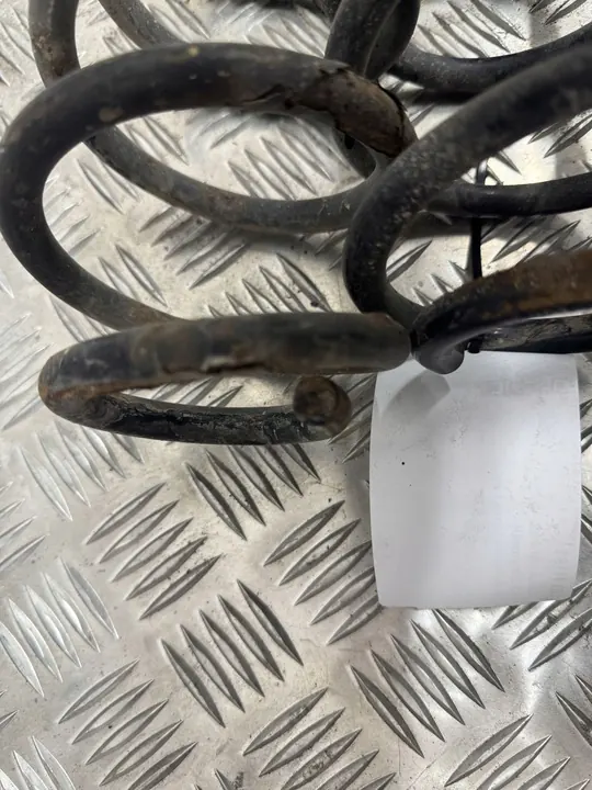 Skoda Roomster (5J) 2008 Molla posteriore image 7