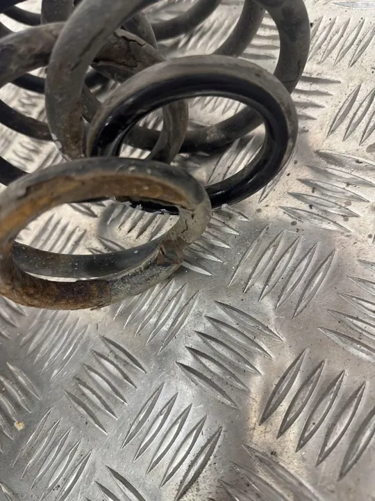 Skoda Roomster (5J) 2008 Molla posteriore image 8