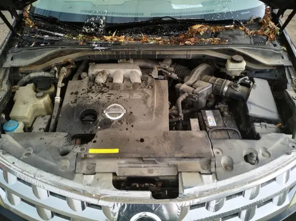 Auspuffkrümmer OEM 2043234 Nissan Murano 2003 image 7