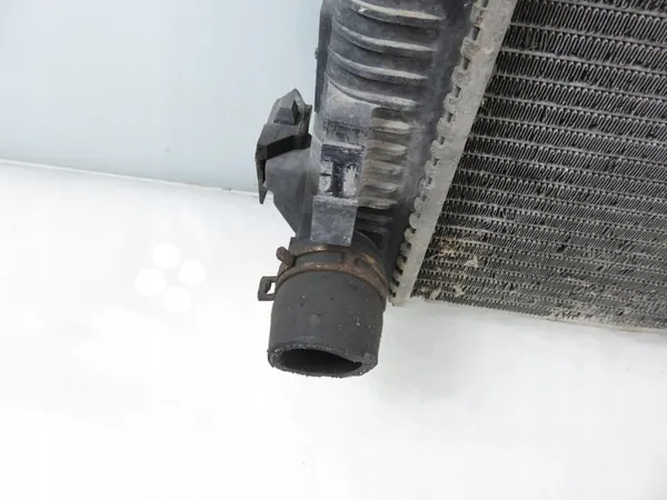 Renault OE 8200411166D Radiador de agua image 4