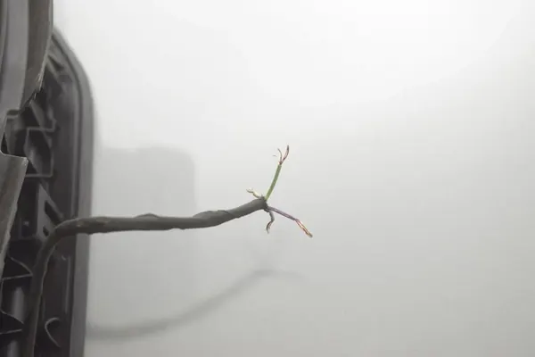 Bouchon de réservoir BMW IX (I20) 51177953712 image 5