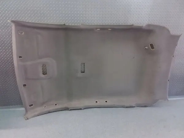 Teto Renault Scenic III OEM 739100165R image 2