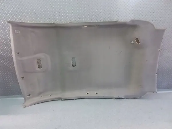 Teto Renault Scenic III OEM 739100165R image 3