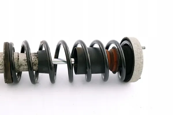 Ammortizzatore Posteriore BMW E60 M-Sport 7905315 image 8