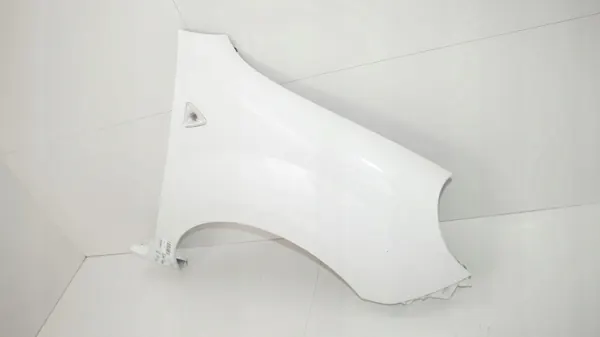 Para-lamas dianteiro direito OEM 360185011 para Renault Kangoo II image 3