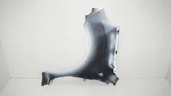 Para-lamas dianteiro direito OEM 360185011 para Renault Kangoo II image 7