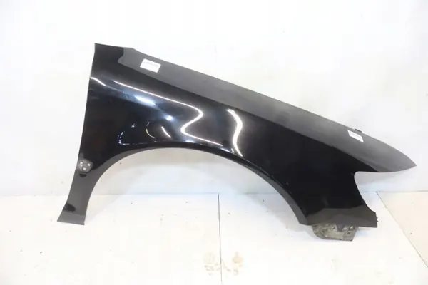 OEM 01982 Framhöger stänkskärm Volkswagen Phaeton image 2