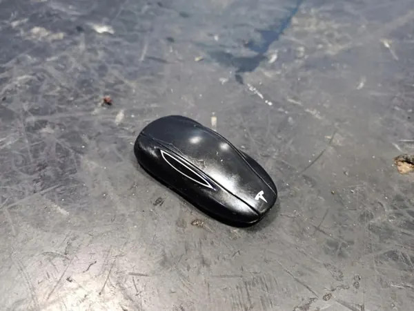 Clé TESLA MODEL S 1046142-00-B image 1