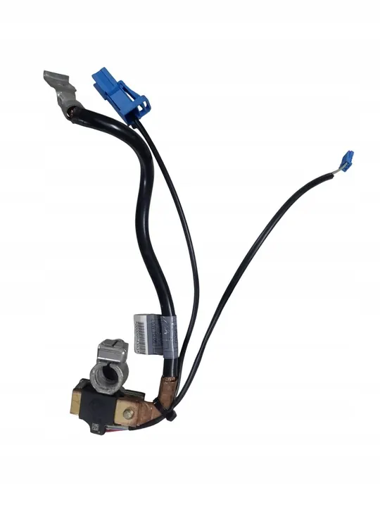 Cabo de terminal negativo BMW E90 6970685 image 2