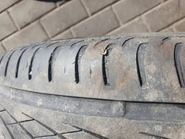 OEM 18565R15 bakluckagaller för Opel Ampera image 9