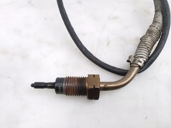 Abgastemperatursensor Seat Leon (5F) 2019 OEM image 4