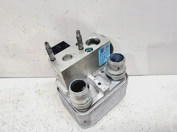 Peugeot 208 2020 A/C Expansionsventil OEM 9831600480 image 2