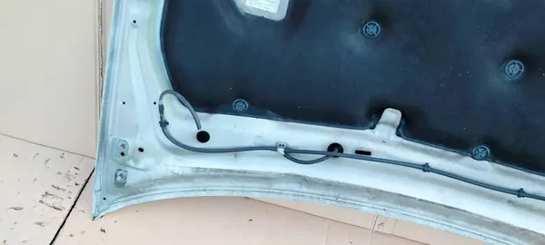 Capa do motor Nissan Almera Tino 00-06 image 6