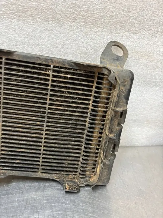 Radiador de agua adicional BMW F20 F30 image 4