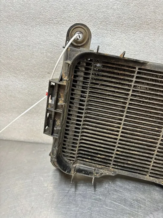 Radiador de agua adicional BMW F20 F30 image 5