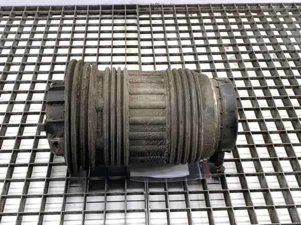 Cojín suspensión trasero izquierdo OEM 97033353312 Porsche image 2