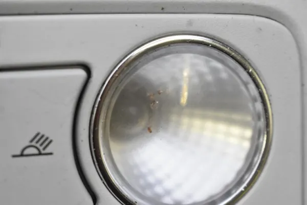 OEM 5E0867489 Plafonnier Avant Skoda Octavia 3 image 4