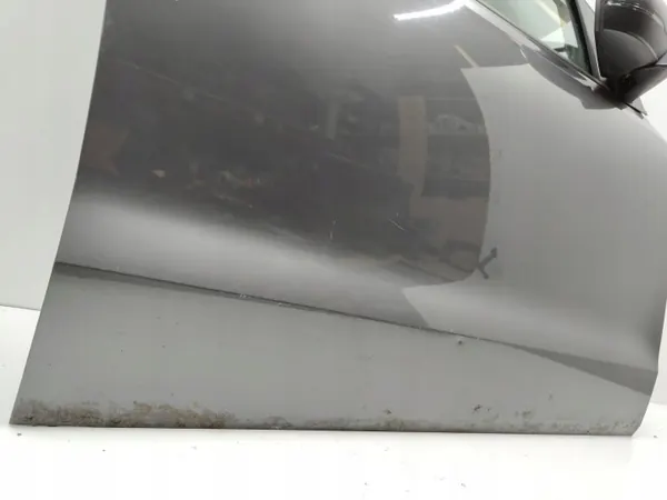 OEM Dörr Höger Fram för Volkswagen Polo V 6R image 6