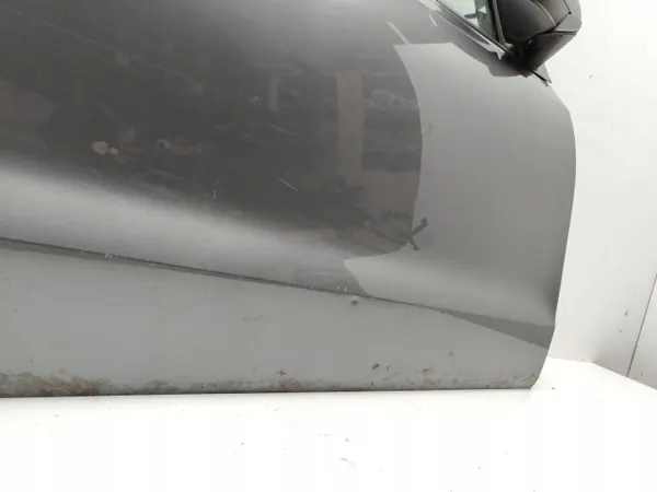 OEM Dörr Höger Fram för Volkswagen Polo V 6R image 7