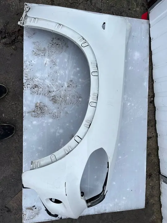 Parafango Anteriore Destro BMW X5 E70 image 2