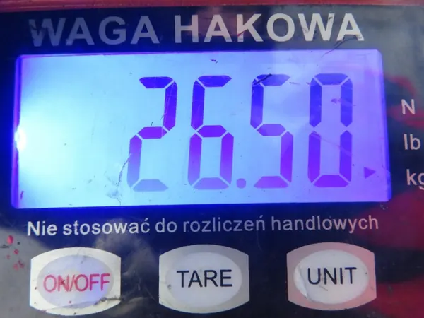 Achterbalk OEM BELKA TYŁ SKODA FABIA II Combi image 9