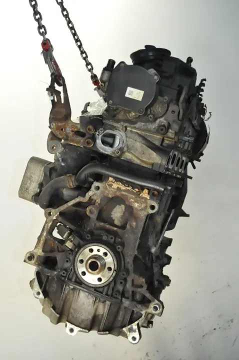 Gebruikte Skoda OE 1.6 TDI 105PK motor CAY CAYC 281k km image 6