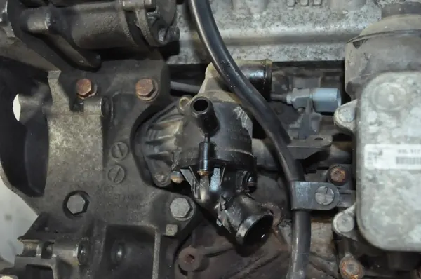 Gebruikte Skoda OE 1.6 TDI 105PK motor CAY CAYC 281k km image 9