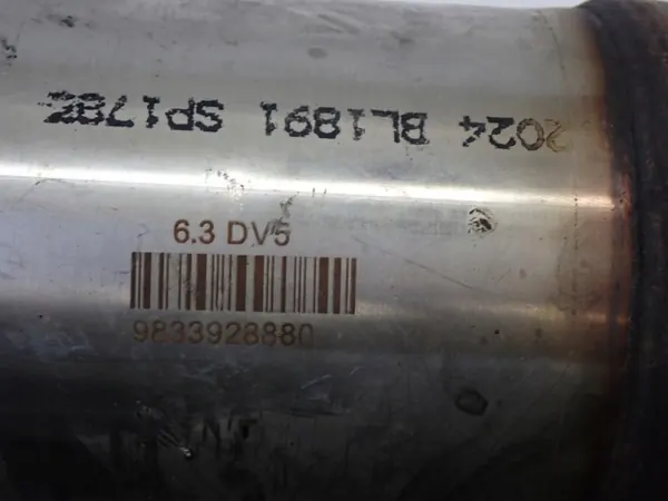 Gebrauchter Fiat DPF-Filter OEM 9829511580 9833928880 image 8
