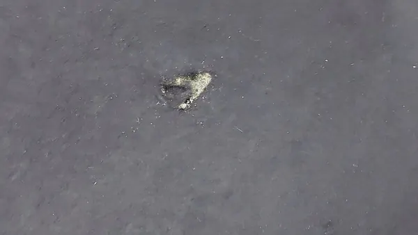 Hood-Isolationsclip Volkswagen Touran II 1T0 image 2