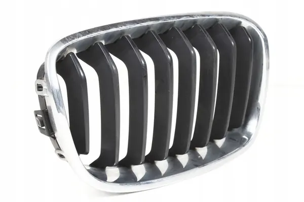 BMW F20 F21 Right Grill Insert 7239022 image 2