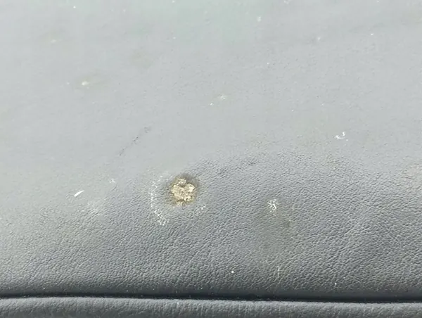 OEM AMD112973 Baksätes huvudstöd höger Lexus GS image 6
