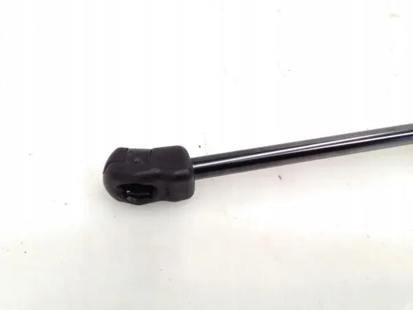 Tesla Motorhauben-Aktuator OEM 164598900A links 2022 image 4
