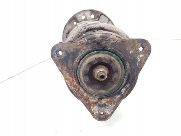 Ammortizzatore anteriore Nissan Qashqai 2016 543024EA7C image 2