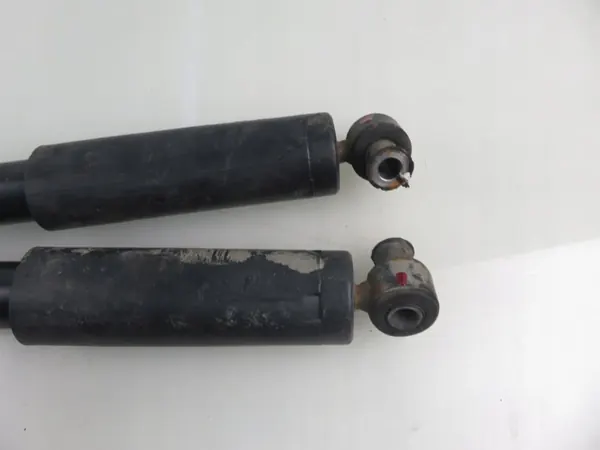 Amortecedores Traseiros OEM 313504 Ford Transit VI image 6