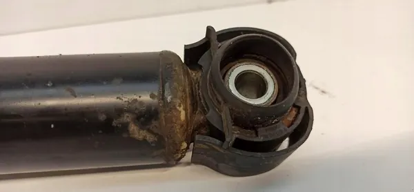 Ammortizzatore posteriore AUDI A6 C7 4G0616031T image 4