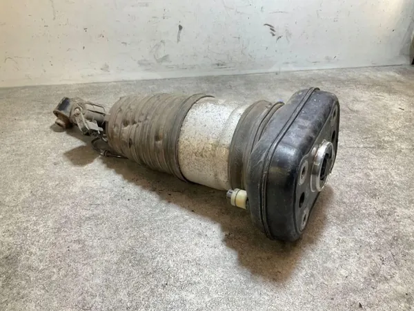 Hinterer linker Luftdämpfer OEM 462400019937 für Renault image 2