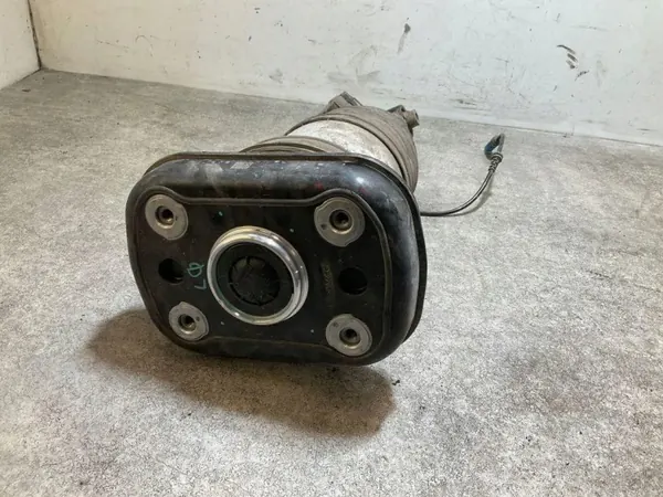 Hinterer linker Luftdämpfer OEM 462400019937 für Renault image 3