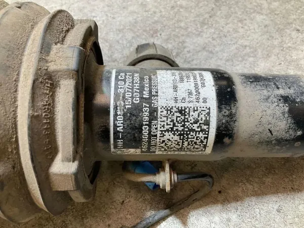 Hinterer linker Luftdämpfer OEM 462400019937 für Renault image 4