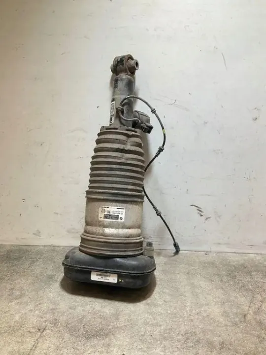 Hinterer linker Luftdämpfer OEM 462400019937 für Renault image 5