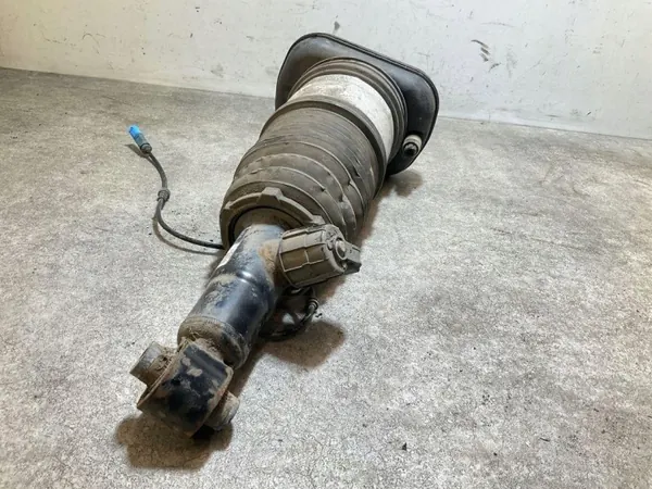 Hinterer linker Luftdämpfer OEM 462400019937 für Renault image 6