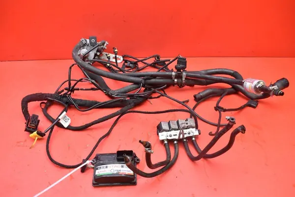 Instalación de gas LPG STAG-4 Q BOX BASIC image 1