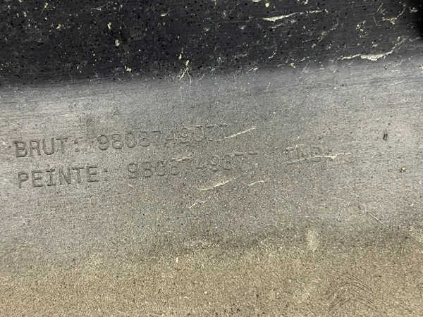 OEM 9808749077 Linker Achter Zijstootlijst image 6