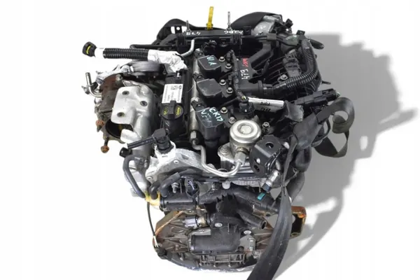 Motor Ford OE 1.0 EcoBoost 100CV Usado image 5