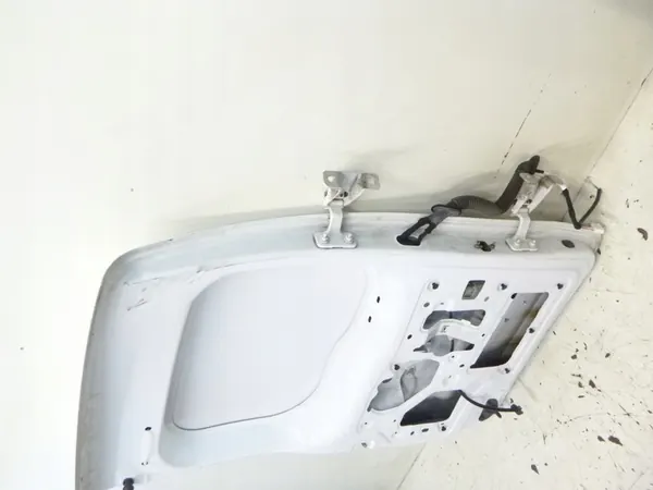 Left Rear Door Renault Kangoo 2016 image 8