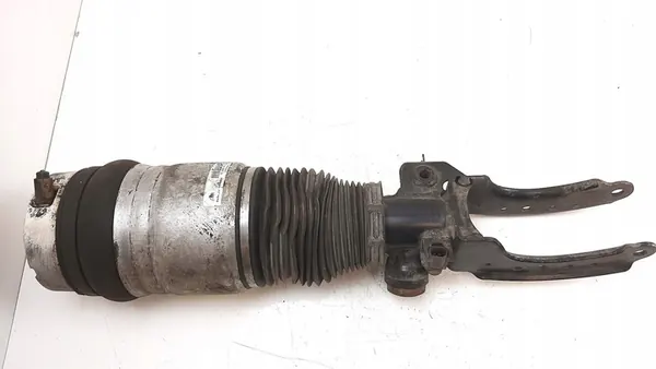 2012 Audi Q7 4L Främre Luftdämpare 7L8616040D image 2