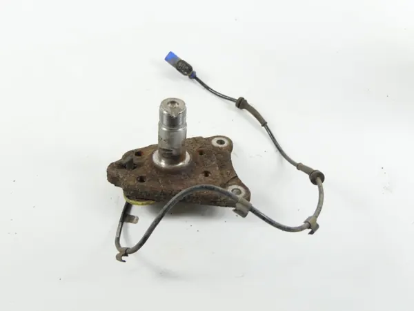 OEM 9805066080 Casquillo viga trasera derecha image 3