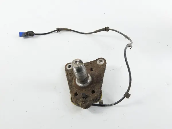 OEM 9805066080 Casquillo viga trasera derecha image 4
