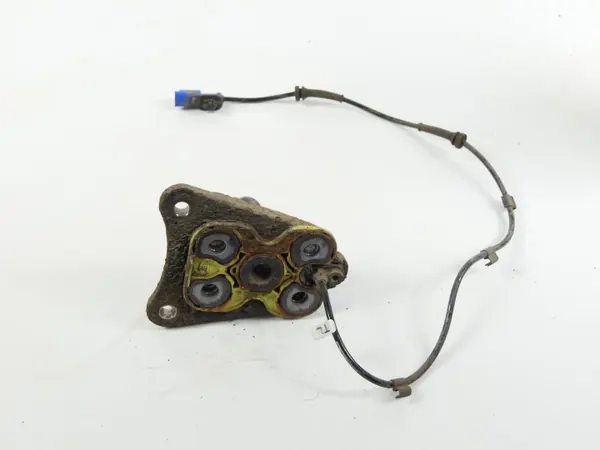 OEM 9805066080 Casquillo viga trasera derecha image 5